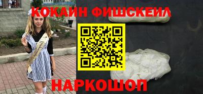 крисы Новодвинск