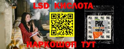 крисы Новодвинск