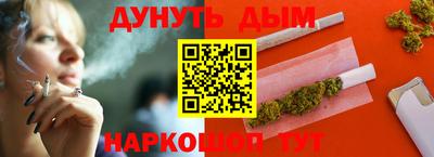 гидра Новозыбков