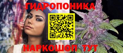 гидра Новозыбков