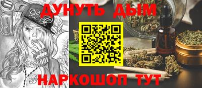 гидра Новозыбков