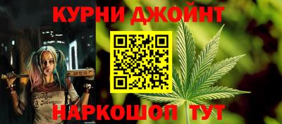 гидра Новозыбков