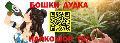крисы Новодвинск